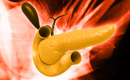 Digital illustration of pancreas in colour backgroundの写真素材