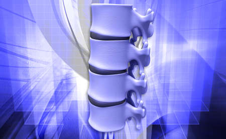 Digital illustration of human spine in colour backgroundの写真素材
