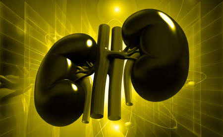 Digital illustration of kidney in coloured backgroundの写真素材