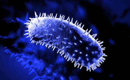 Digital illustration of rabies virus in colour background