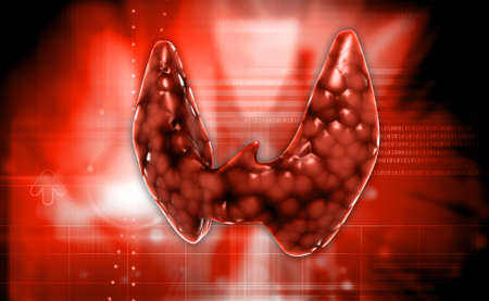 Endocrine parathyroid gland isolated on colour background