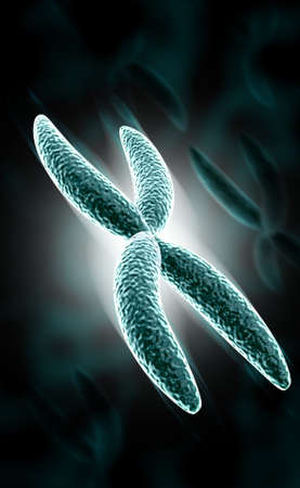 digital illustration of Chromosome in digital backgroundの写真素材