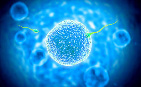 digital illustration of sperm and ovule in colour backgroundの写真素材