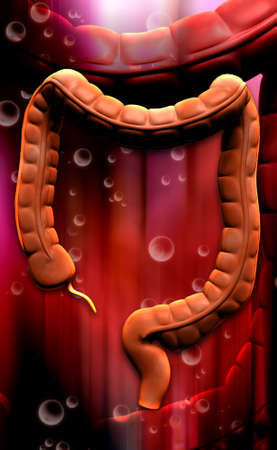 Digital illustration of human digestive system in colour backgroundの写真素材