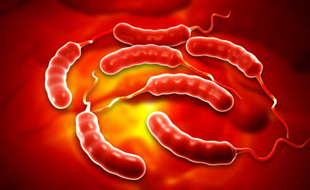 Digital illustration of Coli bacteria in colour backgroundの写真素材