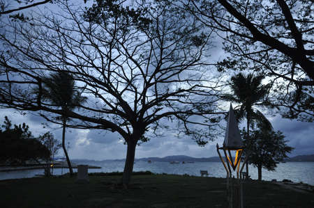 twilightの写真素材