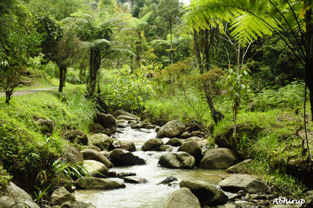 streamの写真素材