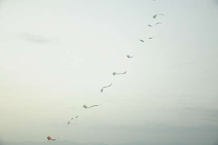 Flying Kitesの写真素材