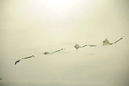 Dancing Kitesの写真素材