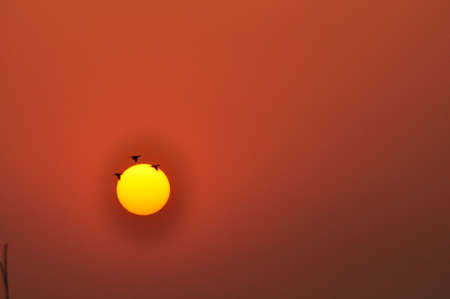 Sunsetの写真素材