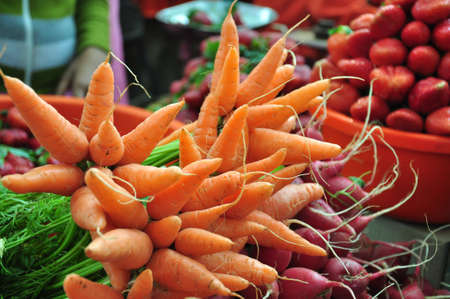 fresh vegetablesの写真素材