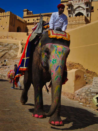 Jaipur,India-Circa 2020: Elephant ride at Amber Palaceのeditorial素材