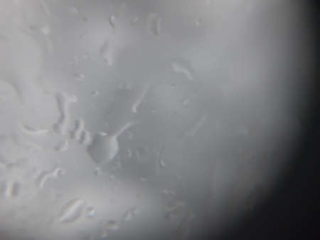 Picture of Drops of water on a glassの写真素材