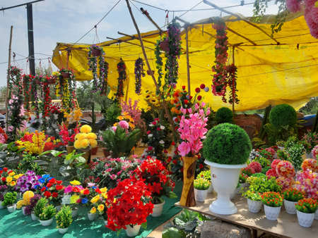 Picture of flowers in a flower shop shot on a sunny dayの写真素材