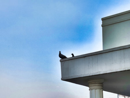 Pigeons on the roof of a building against blue sky.