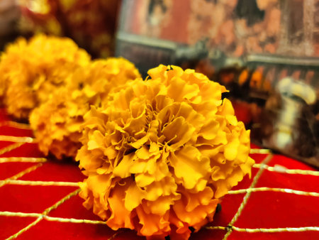 Marigold flowers on the red background,Thai style.の写真素材