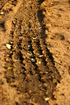 Tyre Tracks on Mudの写真素材