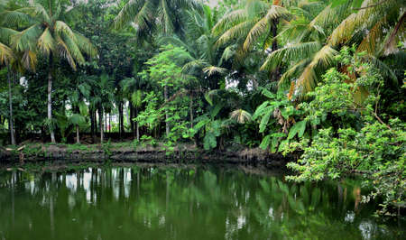 Green Worldの写真素材