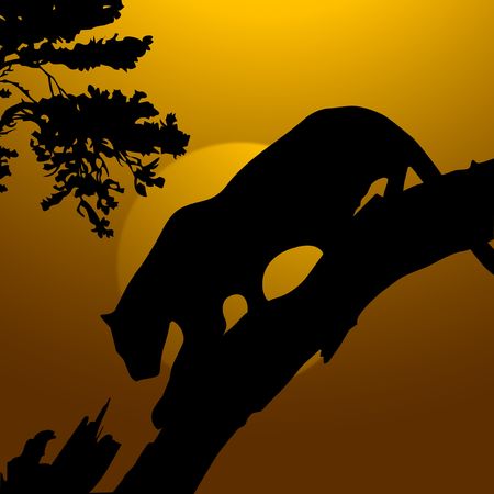 silhouette view of tiger on a tree, wildlife の写真素材