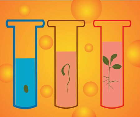 Closeup of test tubes with growing plantsの写真素材