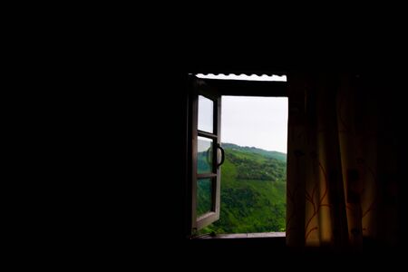 View of tea garden from window.