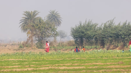 GHAZIABAD, Uttar Pradesh, India - December 2020 : Scenic landscape, Male and female farmer working on farming land in India during morning time.のeditorial素材