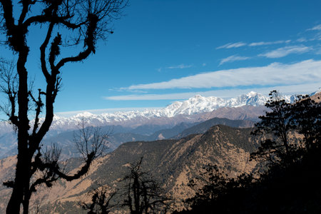 Scenic Landscape, Landscape view of Himalaya snow mountains in Chopta Valley of Uttarakhand, Indiaの写真素材