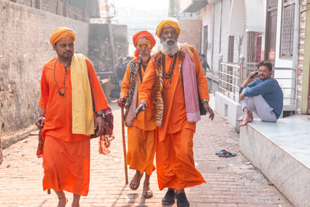 BARSANA, UTTAR PRADESH / INDIA - MARCH 2020: People celebrate the traditional and a ritualistic...