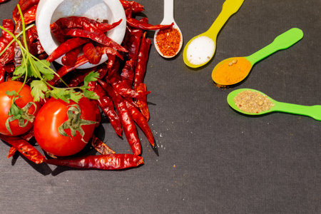 Colorful Spices and herbs with vegetables frame on a black wooden backgroundの写真素材