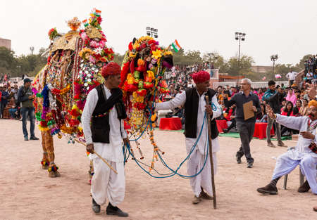 Bikaner, Rajasthan, India, January 2019 : Colorful camel performing camel dance with trainer on the desert ground during Bikaner Camel Festival.のeditorial素材