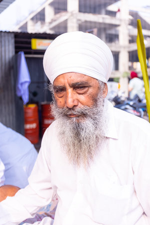 Anandpur Sahib, Punjab, India - March 2022: Portrait of sikh male (Nihang Sardar) during the...