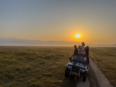 Safari jeep vehicle running at grassland of Dhikala zone in corbett national park.の写真素材