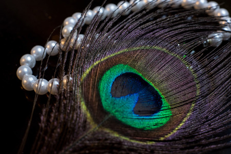 Pearls and Peafowl Featherの写真素材