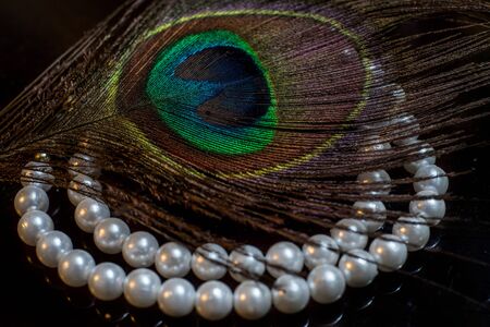 Pearls and Peafowl Featherの写真素材
