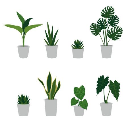 Set of houseplants in pots. Vector illustration in flat styleのイラスト素材