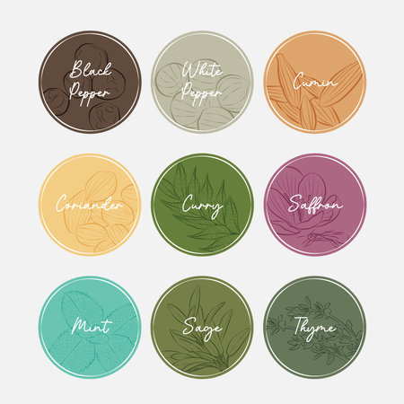 Set of vector hand drawn herbs and spices. Design elements for label, sticker, sign.のイラスト素材