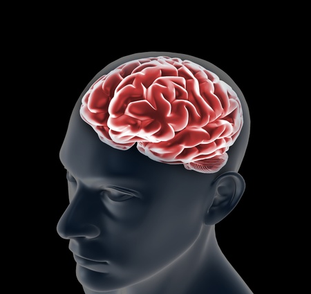 brain, and pulses  process of human thinking