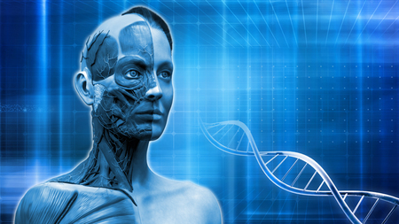 medical background of human body anatomy with dna  3d renderの写真素材