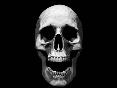 Skull isolated in background 3d illustrationの写真素材