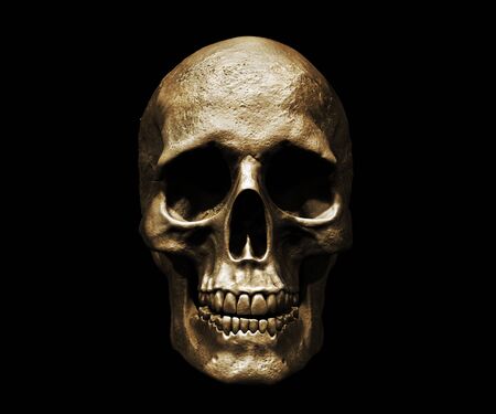 Skull isolated in background 3d illustrationの写真素材