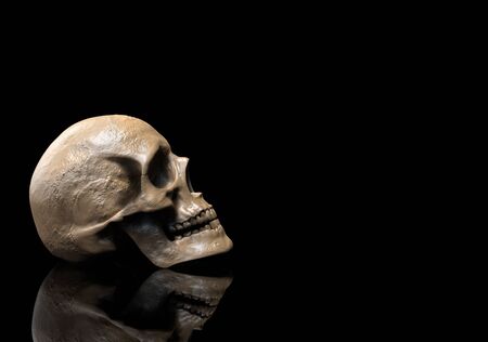 skull isolated in black background with reflection 3d illustrationの写真素材