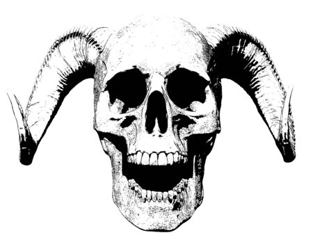 Skull isolated in background 3d renderの写真素材