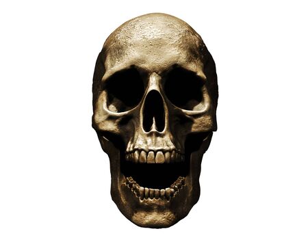Skull isolated in background 3d renderの写真素材