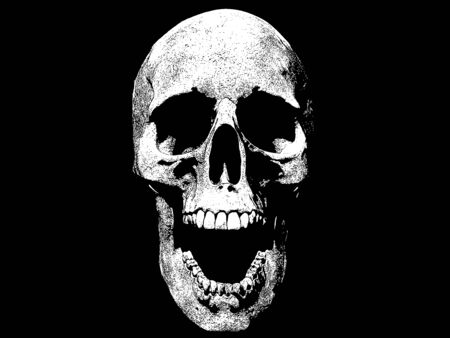 Skull isolated background 3d renderの写真素材