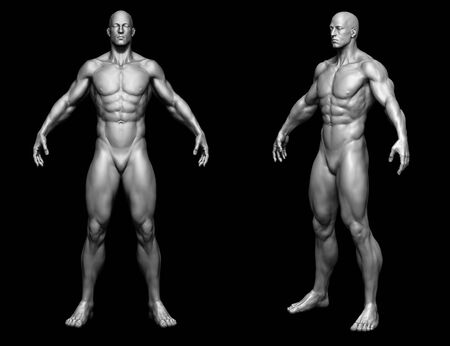 The body - man body - isolated model - 3d renderの写真素材