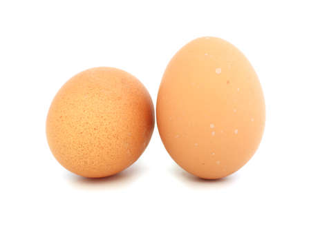 Two chicken eggs in the shell on a white 