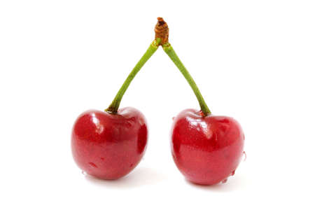 Two cherries joined sprig with water dropletsの写真素材