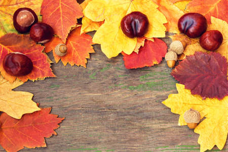 chestnuts and colorful autumnal leaves on a wooden background の写真素材