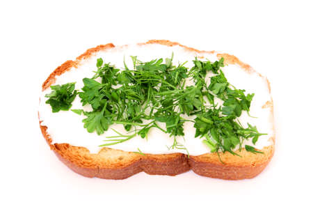 toast with cream cheese and parsley close up の写真素材