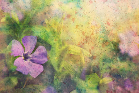 beautiful artwork with lilac flower and splashes of watercolorの写真素材